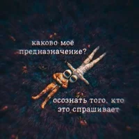 50743.webp