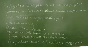50826.webp