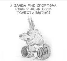 50834.webp