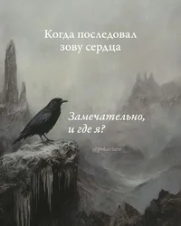 50970.webp