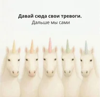 Без названия.webp