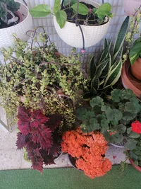 IMG_20260531_160104.webp
