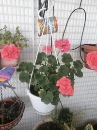 IMG_20260531_160120.webp