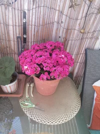 IMG_20260531_160202.webp