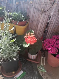 IMG_20260531_160204.webp
