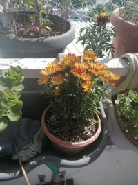 IMG_20260531_160222.webp