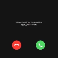 51135.webp 51135.webp