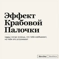 51199.webp 51199.webp