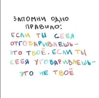 51219.webp