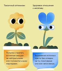 51264.webp