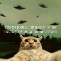 51198.webp