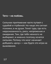 51344.webp