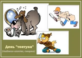 IMG_8769.webp