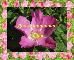 IMG_8770.webp