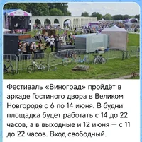 51379.webp