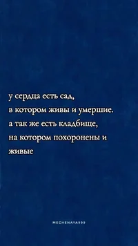 51484.webp 51484.webp