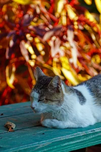 DSC05179.webp