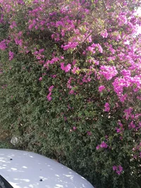 IMG_20260331_162859.webp