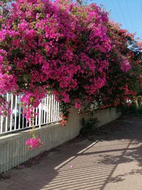 IMG_20260331_164106.webp