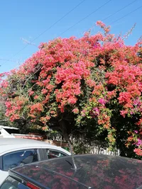 IMG_20260331_164156.webp