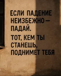 51487.webp