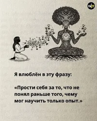 51486.webp