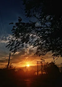 x.webp
