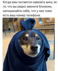 51575.webp
