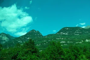 29.webp