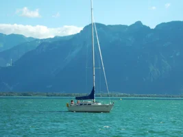458 (3).webp