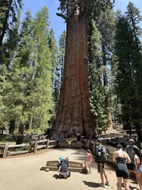 unnamed (42).webp