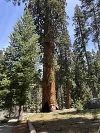 unnamed (41).webp