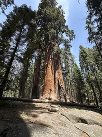 unnamed (43).webp
