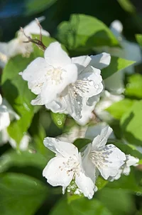 _DSC8753.webp