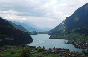 162.webp