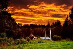 _DSC5637.webp