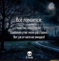 51712.webp