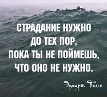 51766.webp