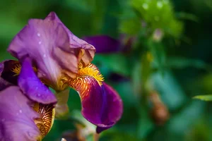IMG_2487-Edit.webp IMG_2487-Edit.webp