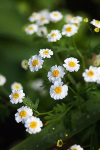 IMG_2490-Edit.webp IMG_2490-Edit.webp