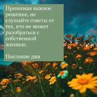 собс.webp