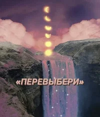 51811.webp
