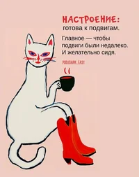 51786.webp 51786.webp