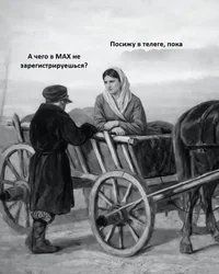 51847.webp
