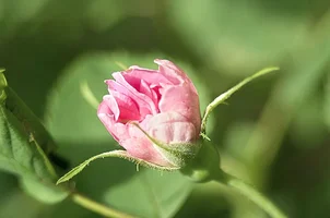 _DSC8777.webp