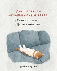 51788.webp