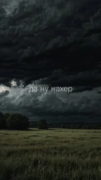 52057.webp 52057.webp