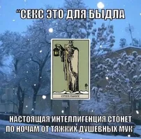 52063.webp