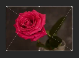 22.webp