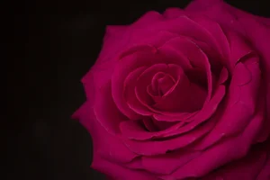 IMG_2759.webp